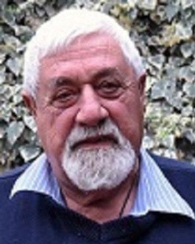 בועז נורקין
